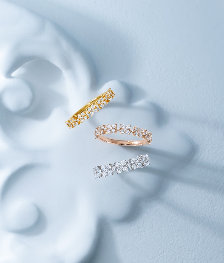 Standard Selection Campaign