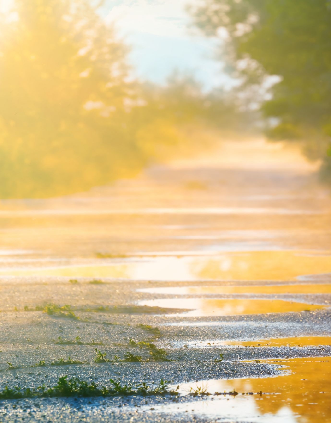 暑さを心地よく癒す雫